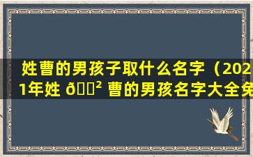 姓曹的男孩子取什么名字（2021年姓 🌲 曹的男孩名字大全免费 🌳 ）